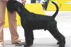 1374761222_lucky_14
