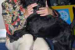 1374761271_lucky_16
