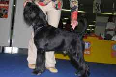 1374761271_lucky_17