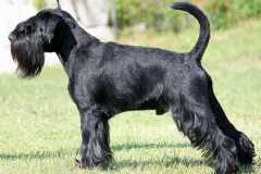 1374761332_lucky_24