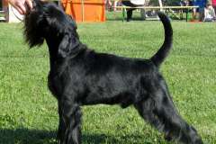 1374761435_lucky_29