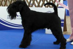 1375190762_lucky_eds_celje_2010_01