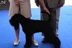 1375273731_lucky_oberwart_2010_01