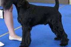 1375273767_lucky_oberwart_2010_02