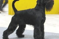 1375366225_lucky_bratislava_2008_02
