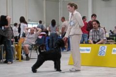 1375368006_lucky_bratislava_2008_03