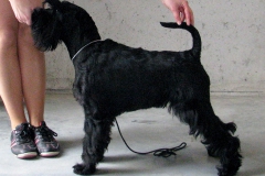 SIXTEEN-od-Dalajskeho-potoka10