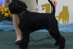 SIXTEEN-od-Dalajskeho-potoka14