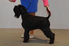 SIXTEEN-od-Dalajskeho-potoka29