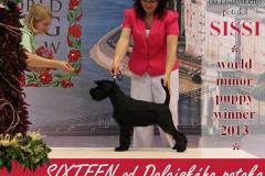 SIXTEEN-od-Dalajskeho-potoka6
